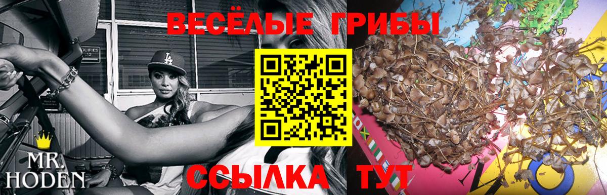 Юрга  Галлюциногенные грибы мухоморы  Вход с VPN 
